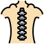 Patologia spinale